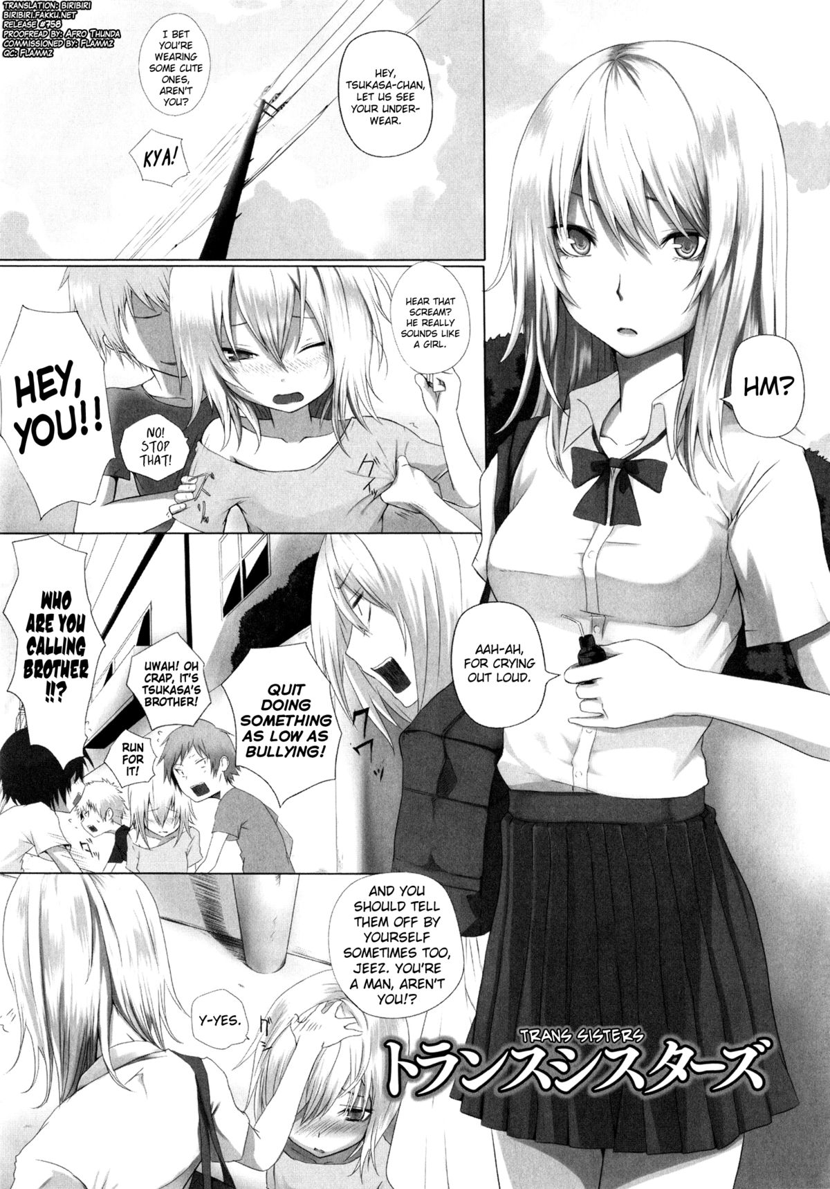 Trans Sisters cover