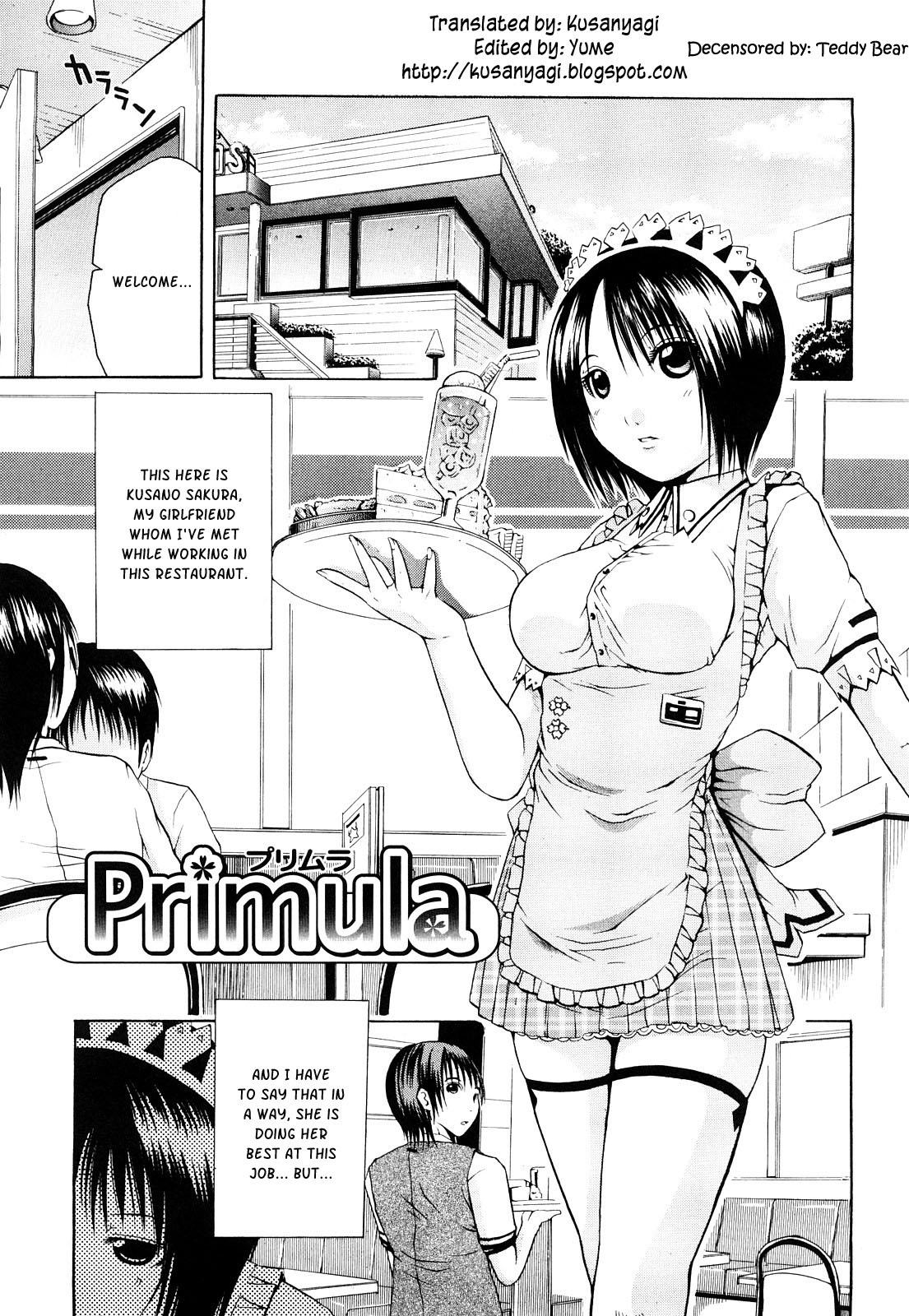 Primula cover