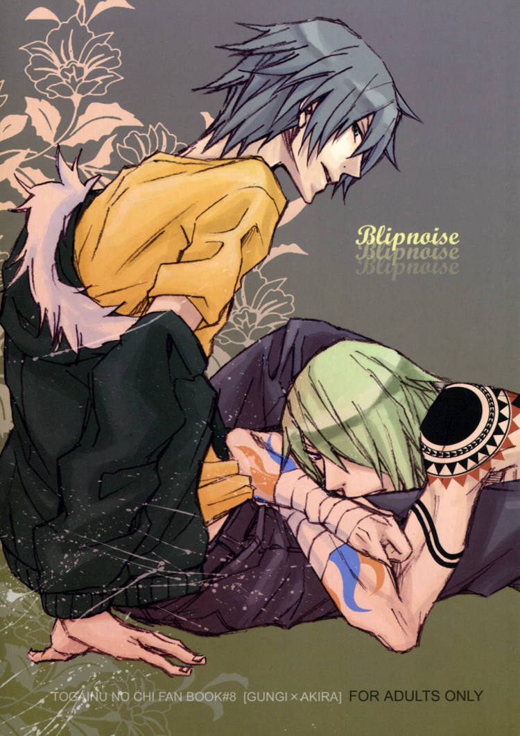 Blipnoise cover