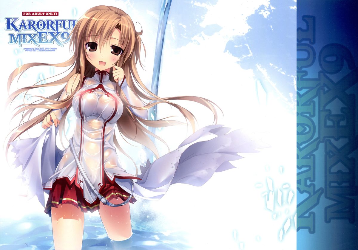 KARORFUL MIX EX9 cover