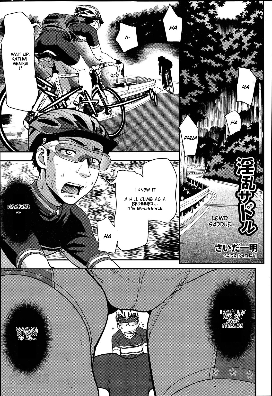 Lewd Saddle cover