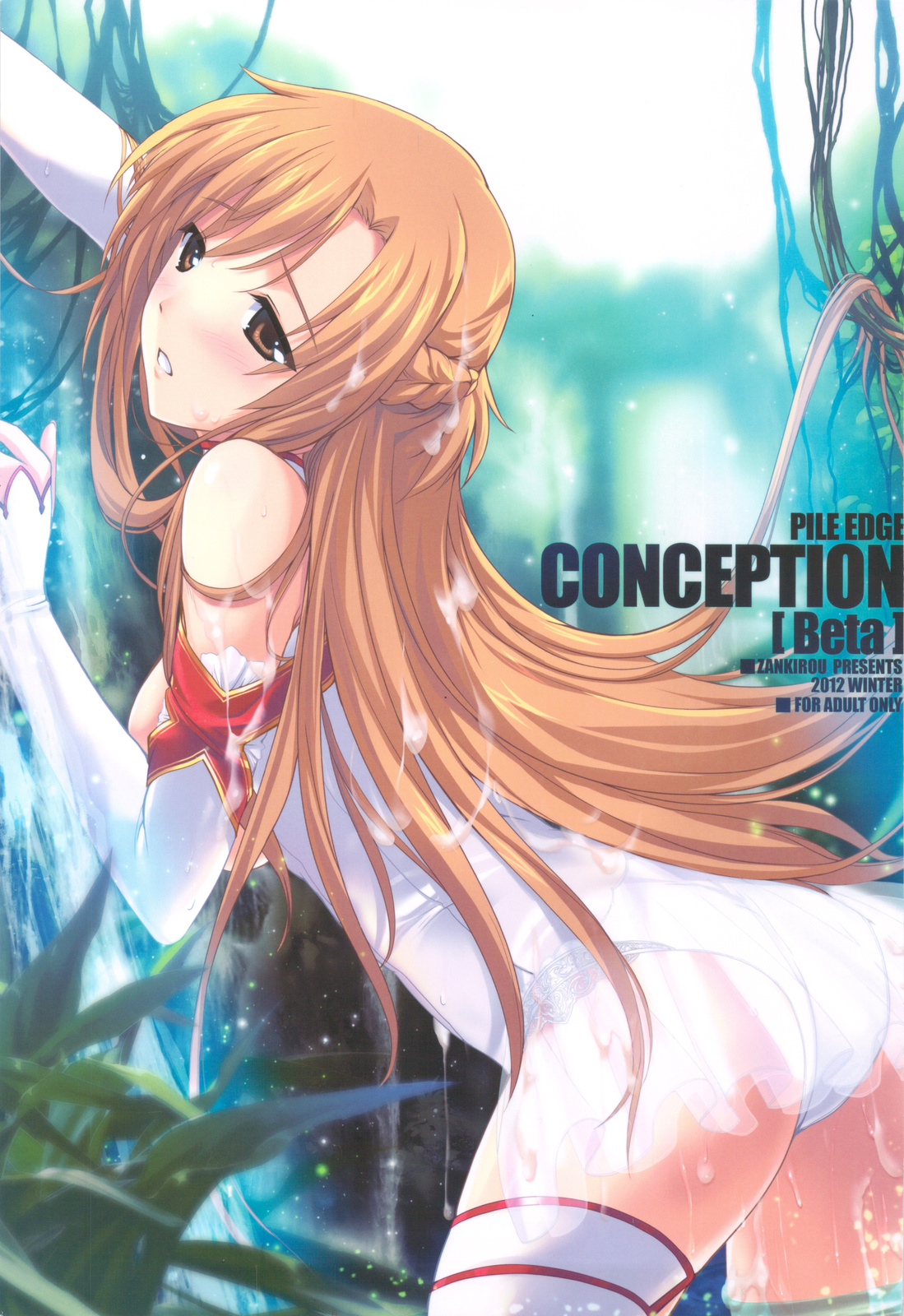 PILEDGE CONCEPTION cover