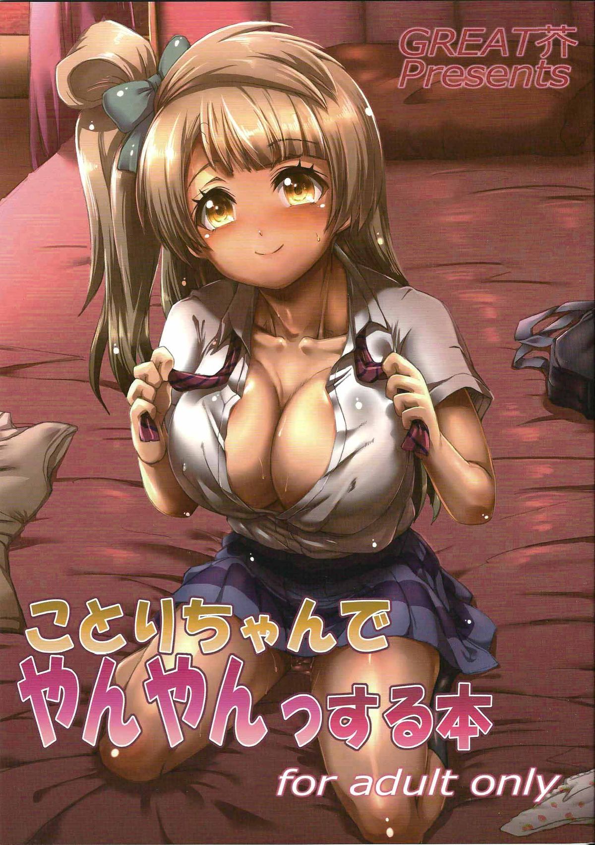 Kotori-chan Being a Prostitute cover