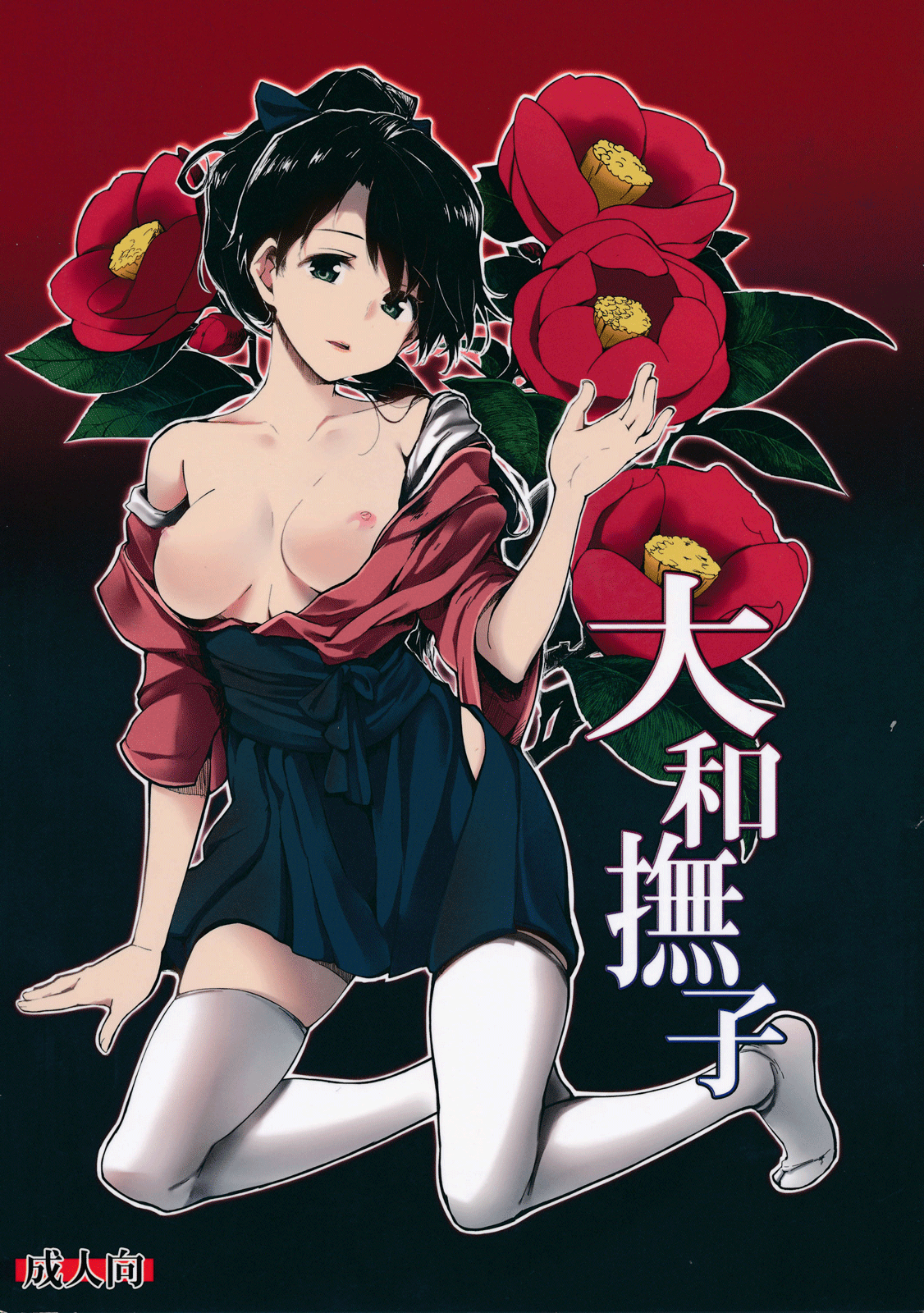 Yamato Nadeshiko cover
