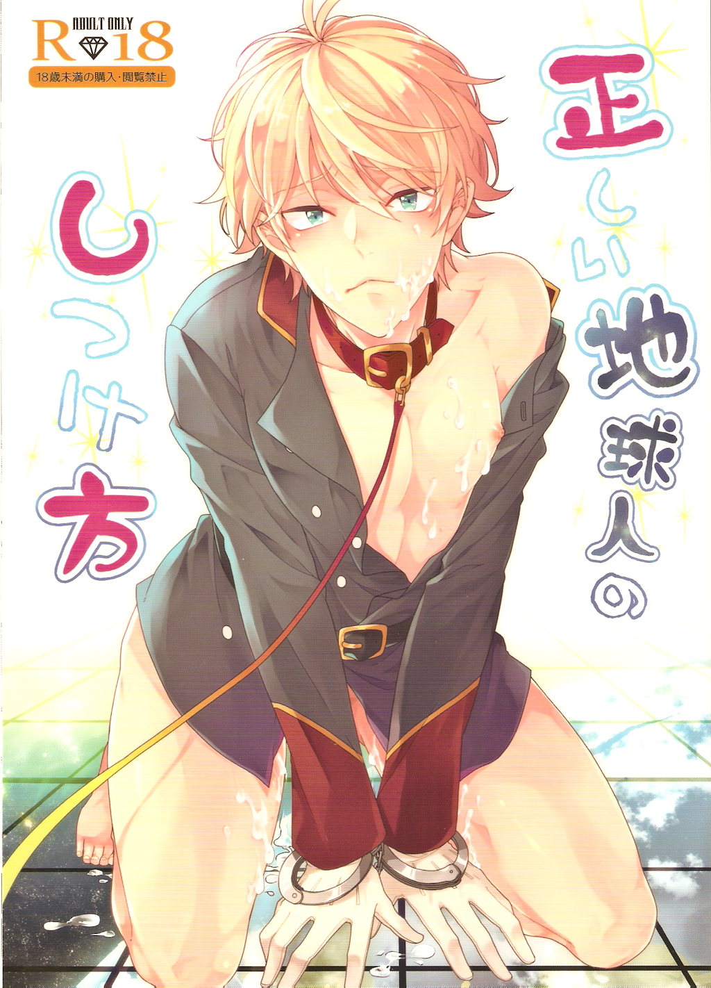 Tadashii Chikyuujin no Shitsukekata cover