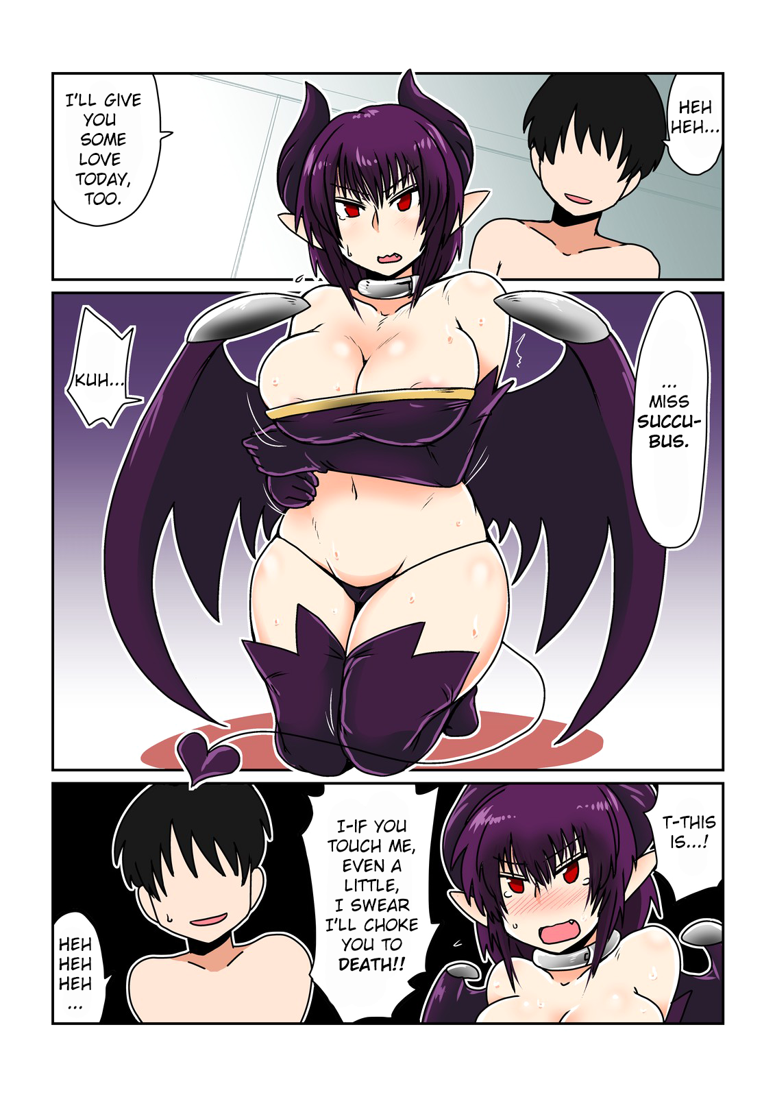 My Slave, the Succubus. cover
