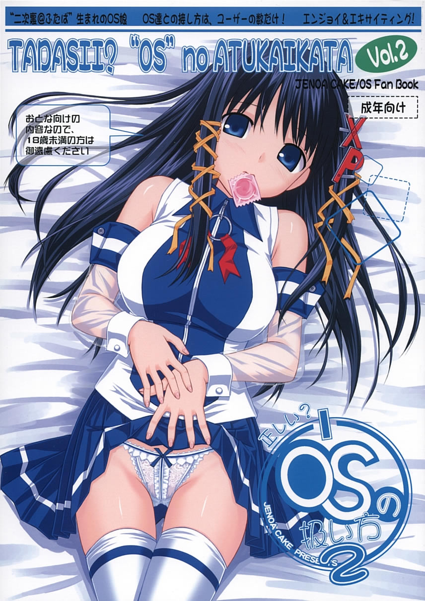 Tadashii? OS no Atsukaikata 2 cover