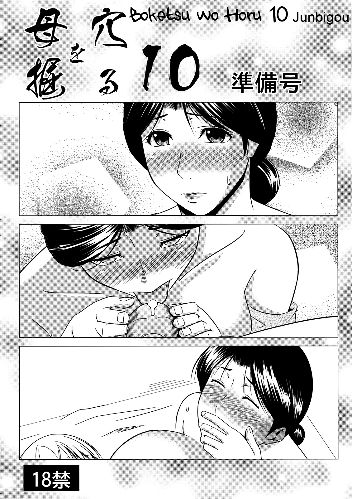 Boketsu o Horu 10 Junbigou cover