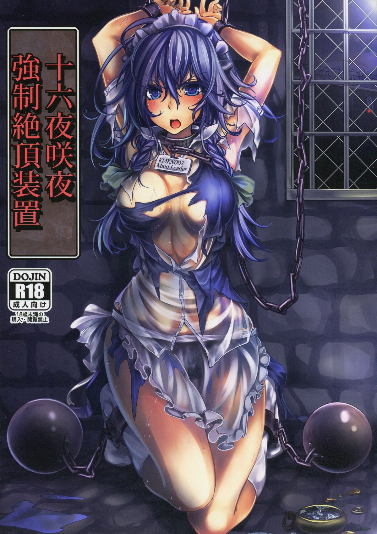 Izayoi Sakuya Kyousei Zecchou Souchi cover