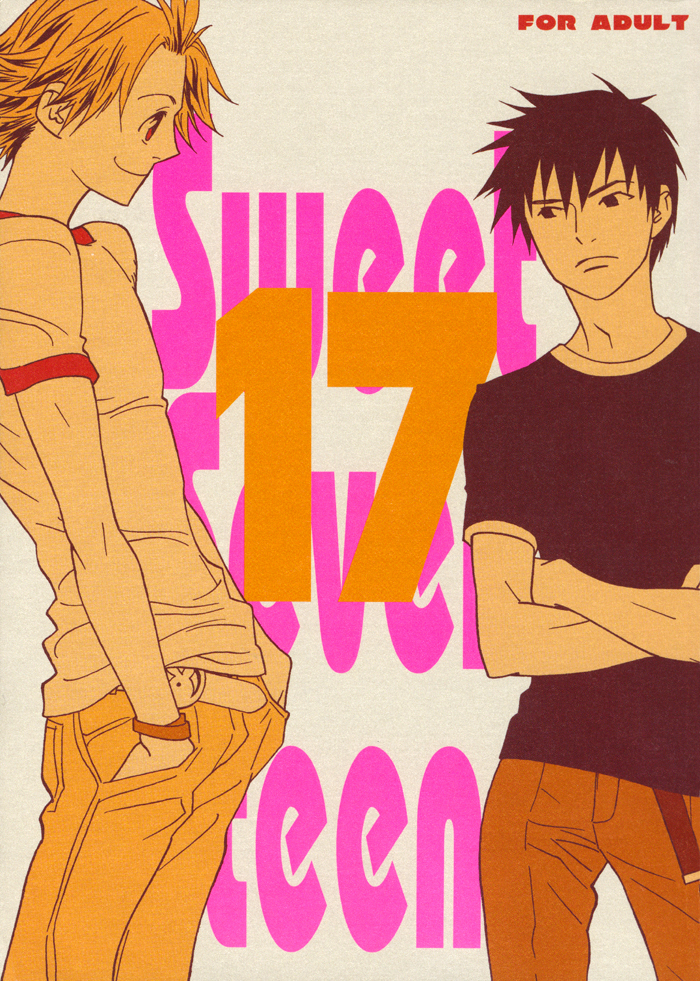 Sweet Seventeen cover