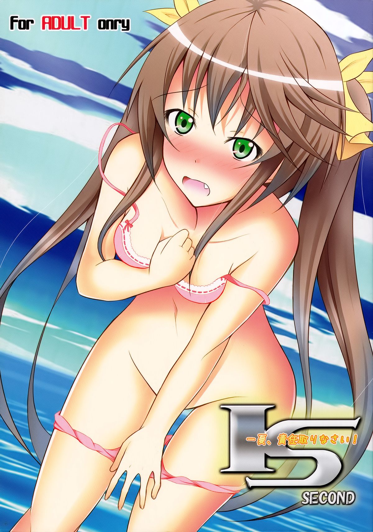 Ichika, You Better Take Responsibility! Second cover