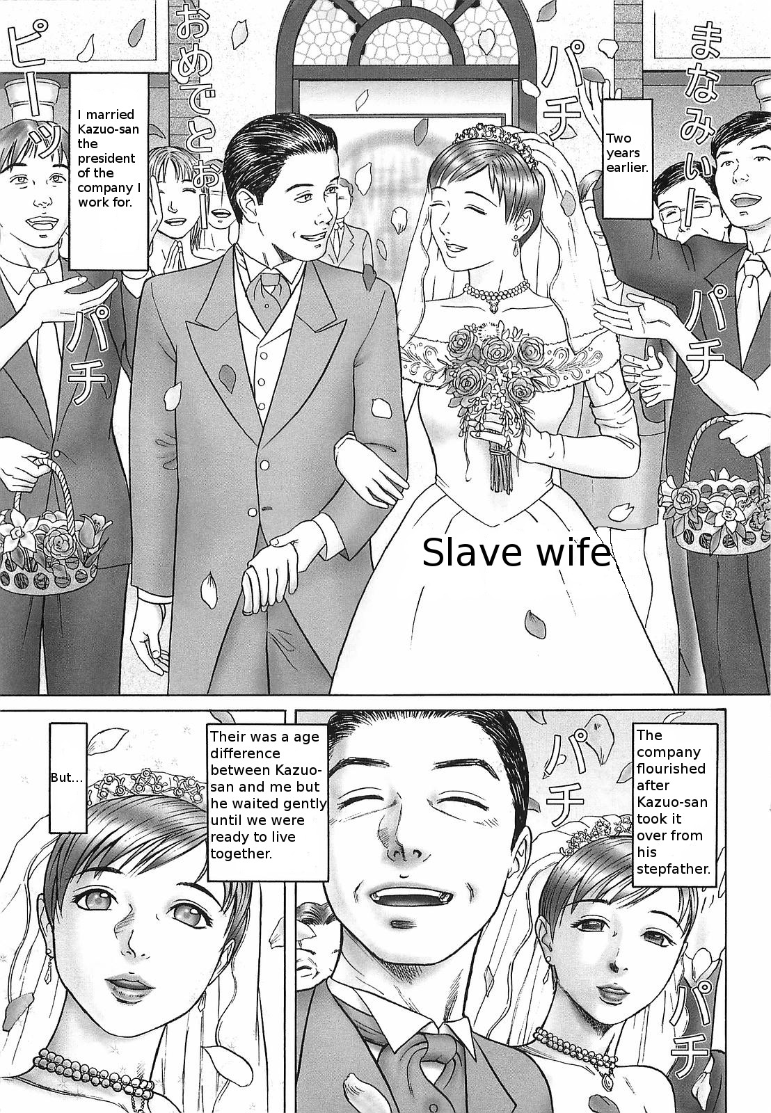 Slave wife cover