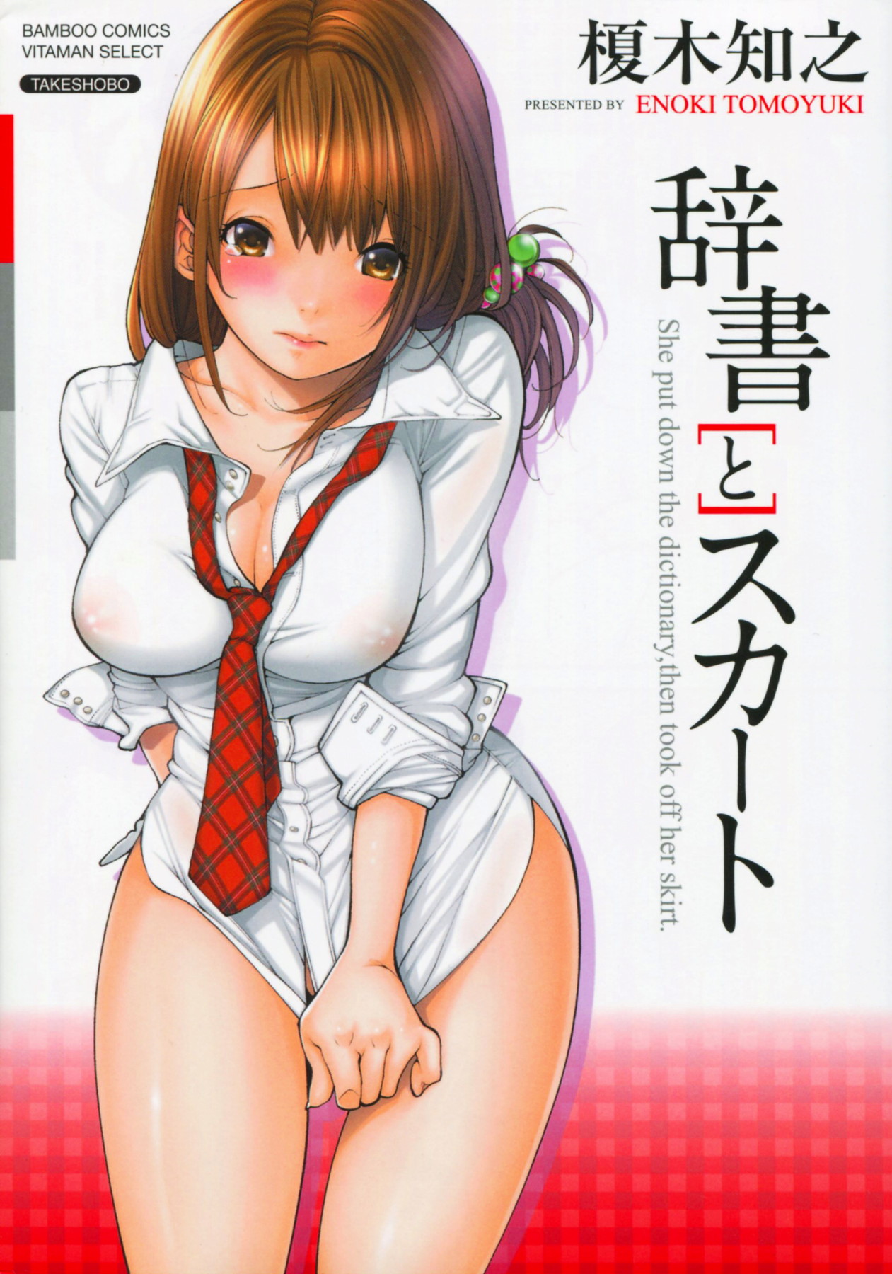 With a Dictionary & no Skirt cover