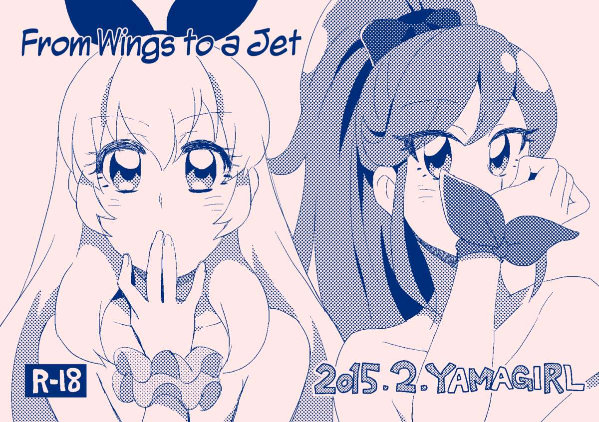 From Wings to a Jet cover