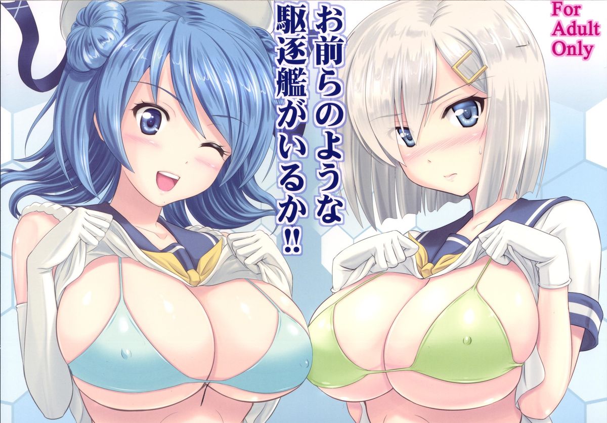 Omaera no Youna Kuchikukan ga Iru ka!! cover
