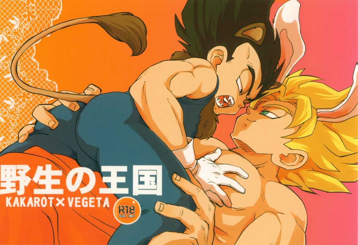 Yasei no Ohkoku cover