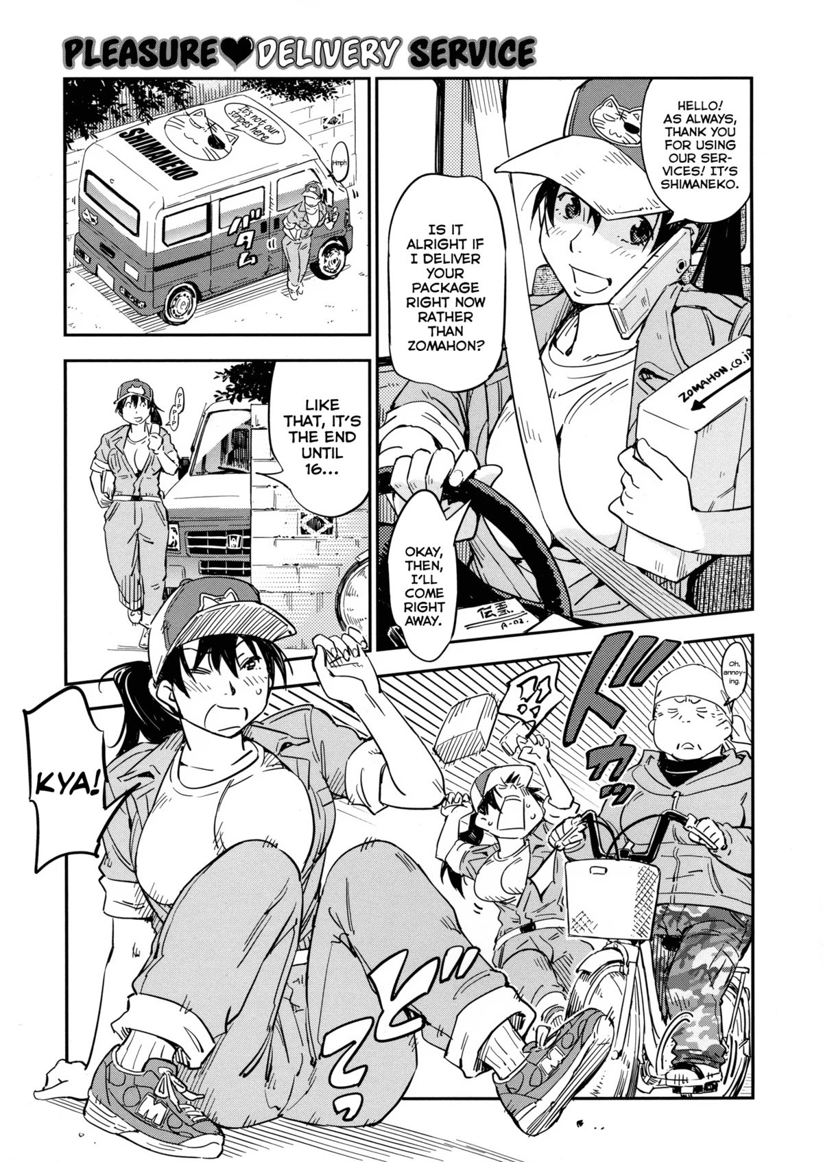 Pleasure Delivery Service cover