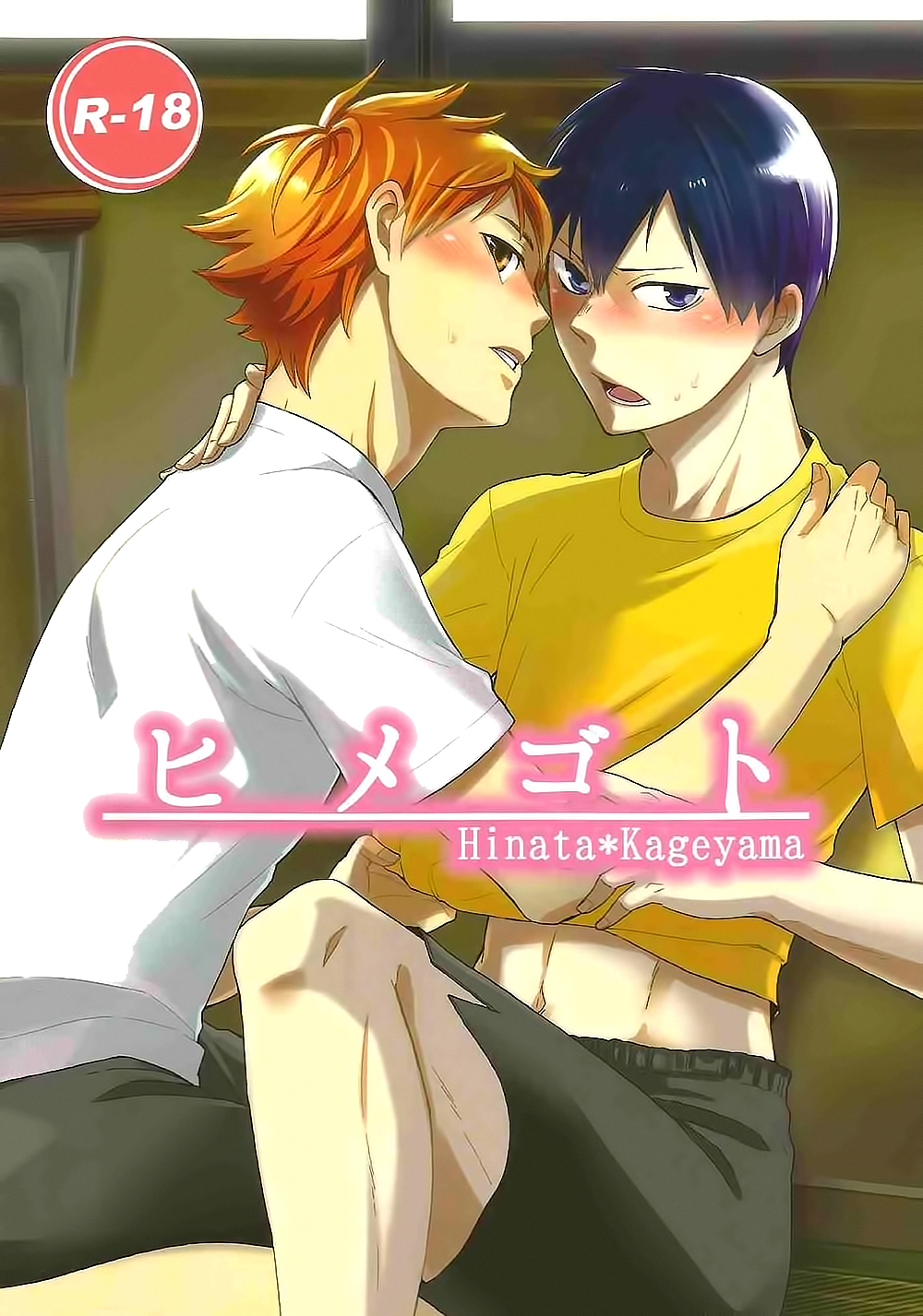 Secret cover