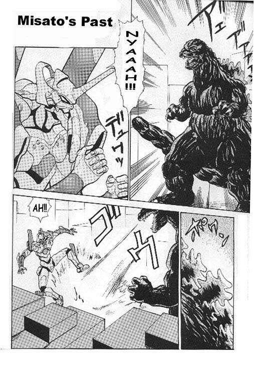 Misato's Past cover