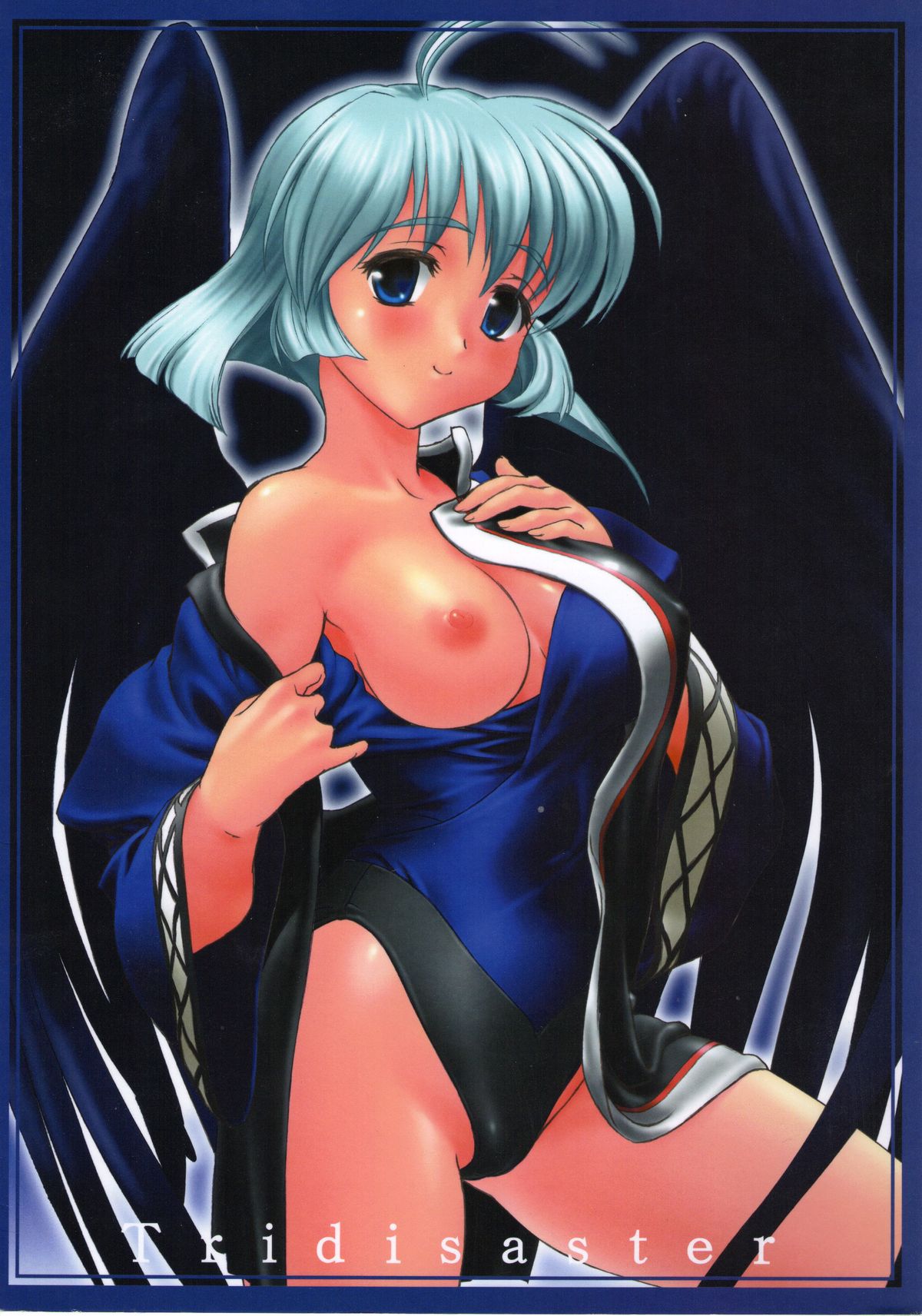 Black Wing Princess cover