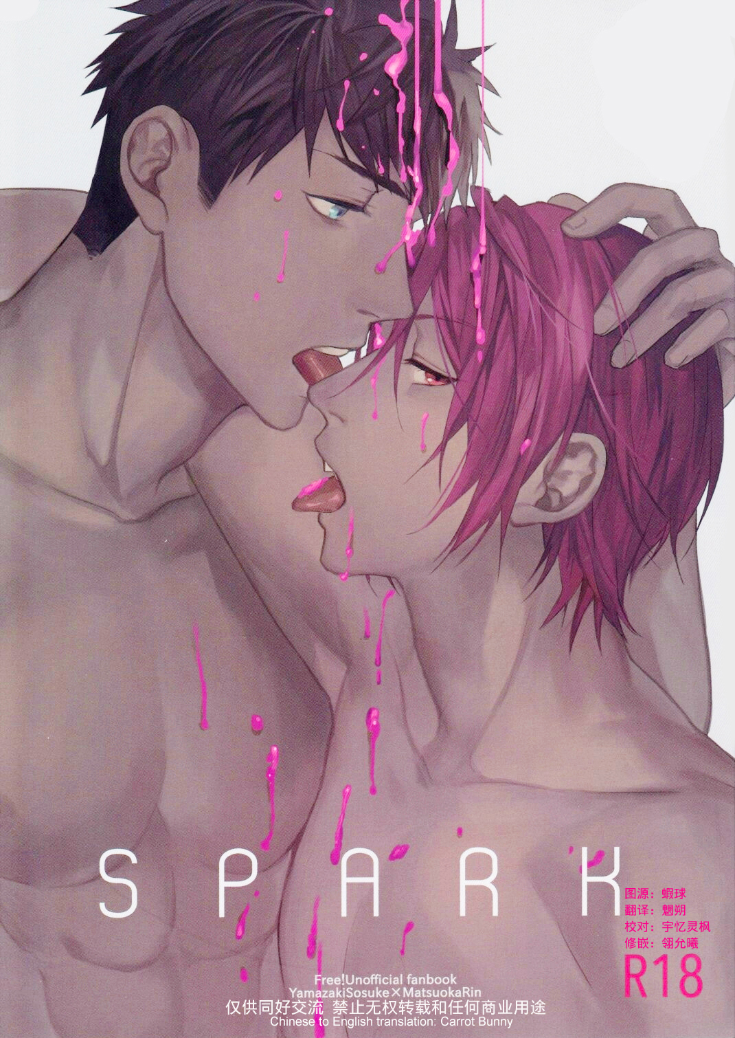 SPARK cover