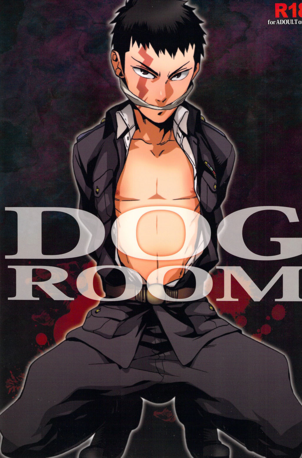 DOG ROOM cover