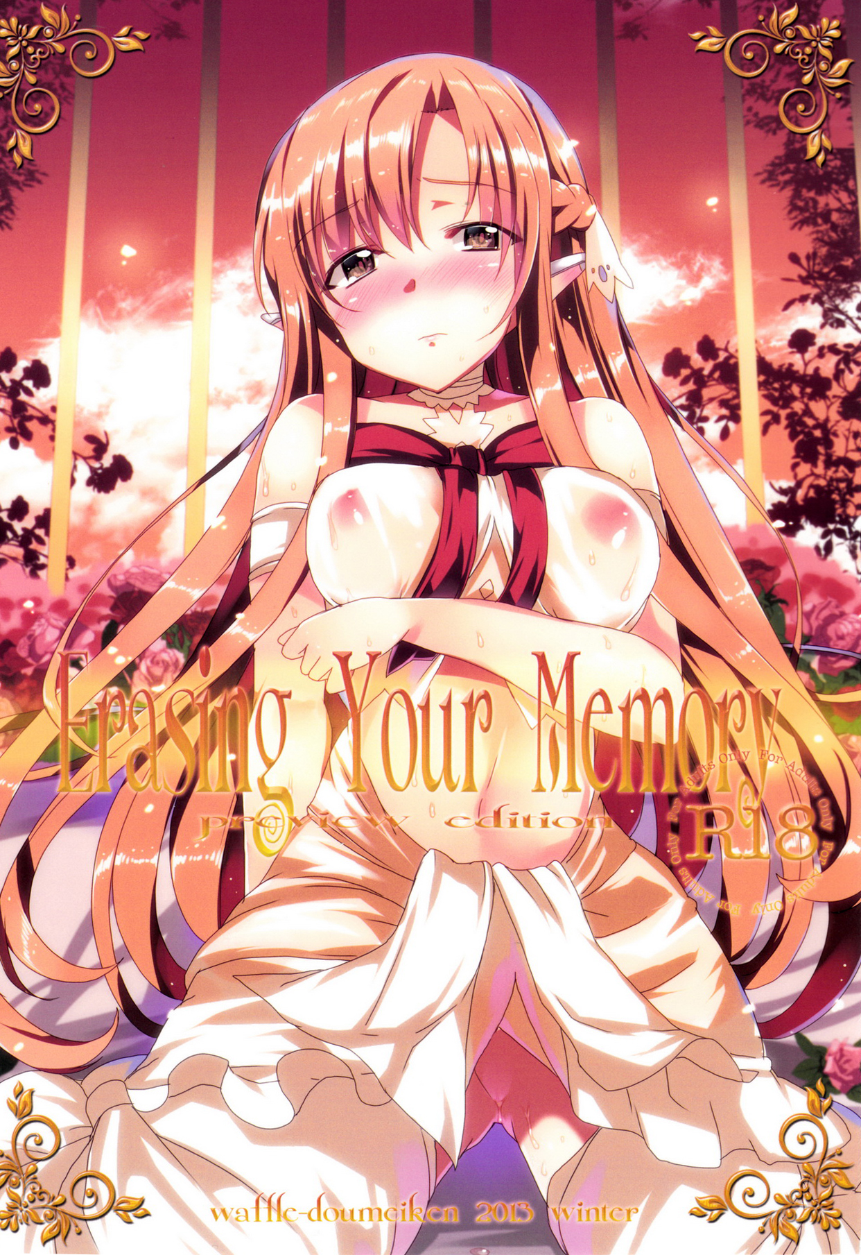 Erasing Your Memory cover