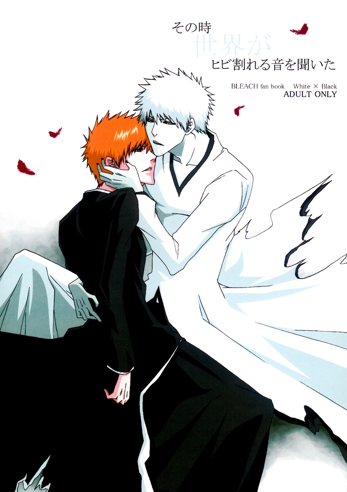 Sonotoki Sekai ga Hibi Wareru Oto o Kiita cover