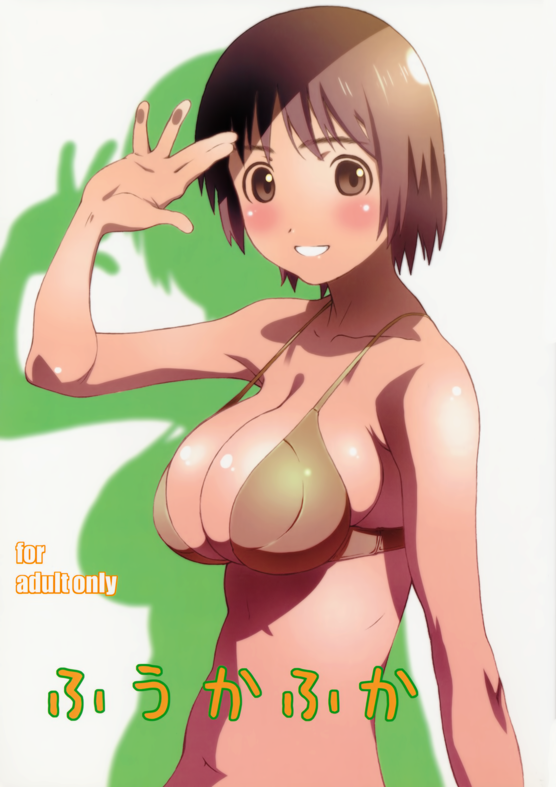 Fuuka Fuka cover