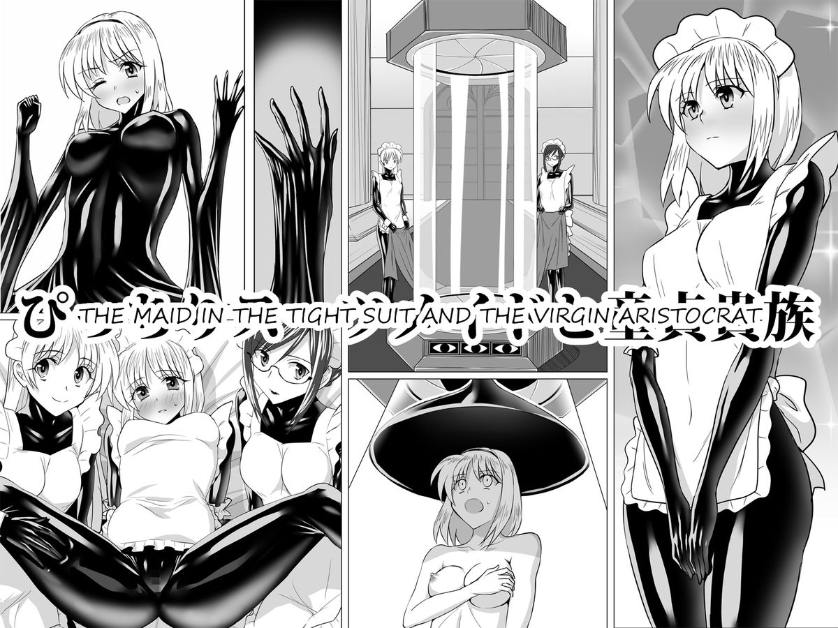 The Maid in the Tight Suit and the Virgin Aristocrat cover