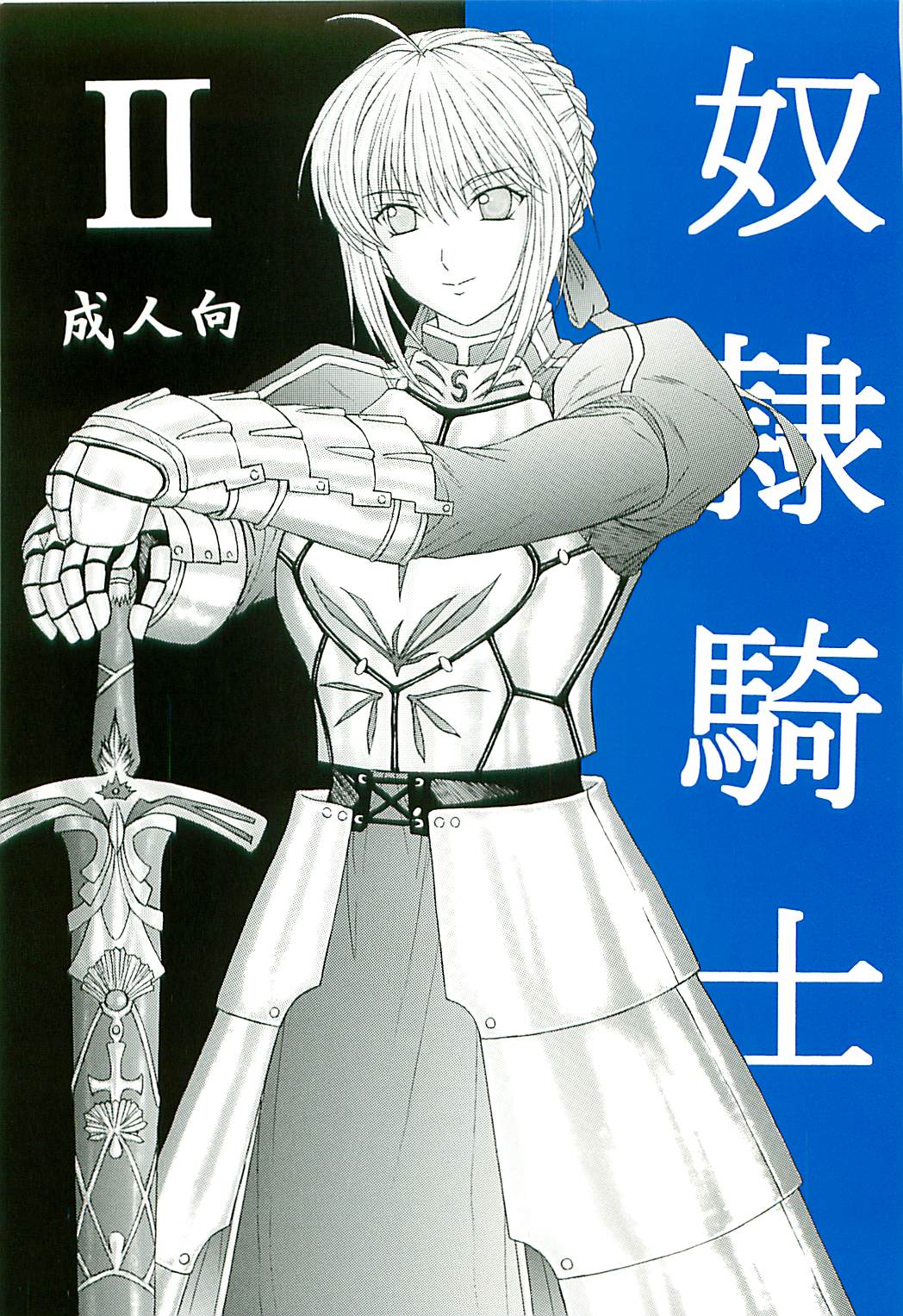 Dorei Kishi II cover