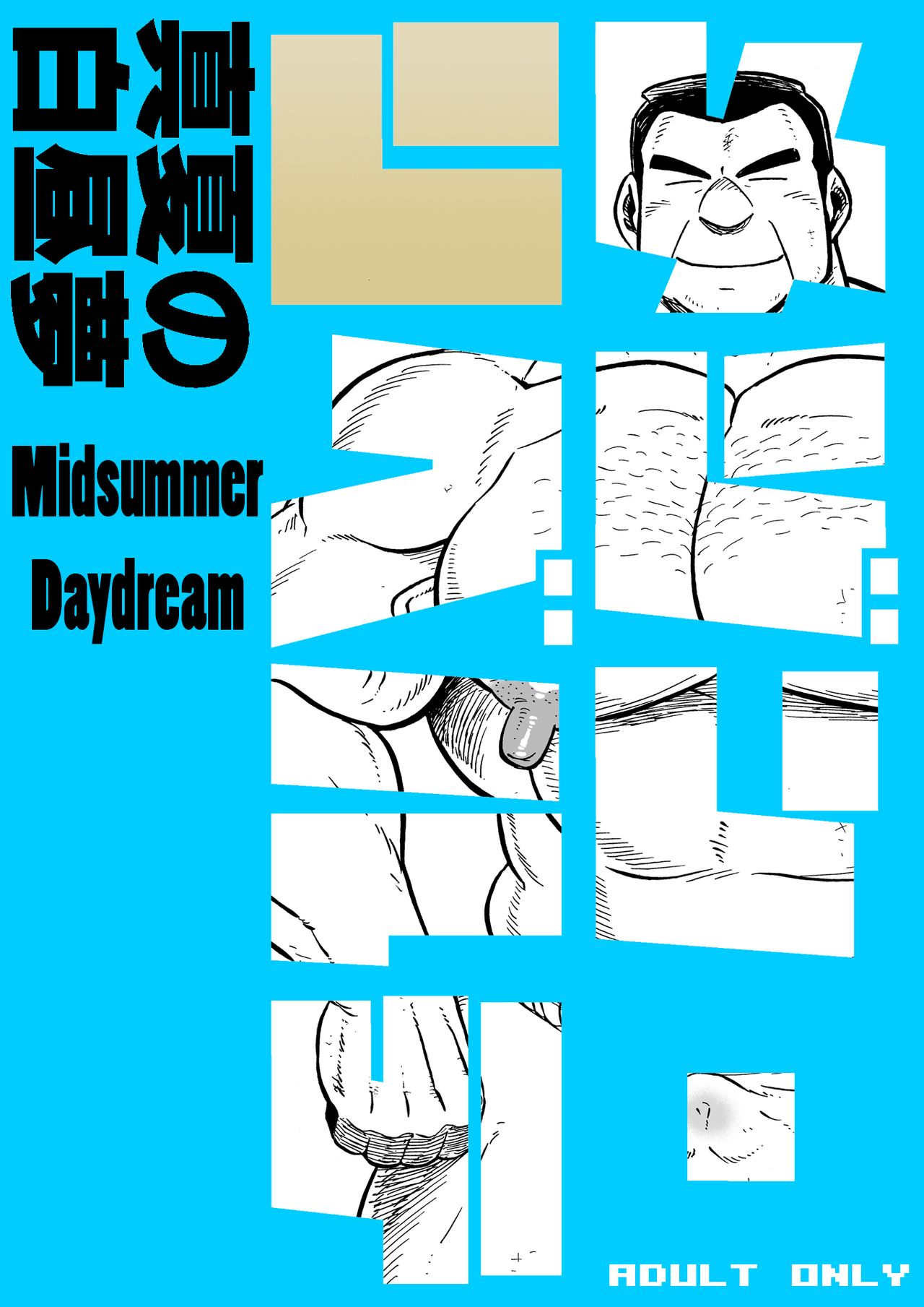 Midsummer Daydream cover