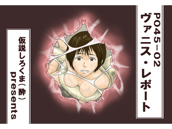 P045-02 Vanis Report cover