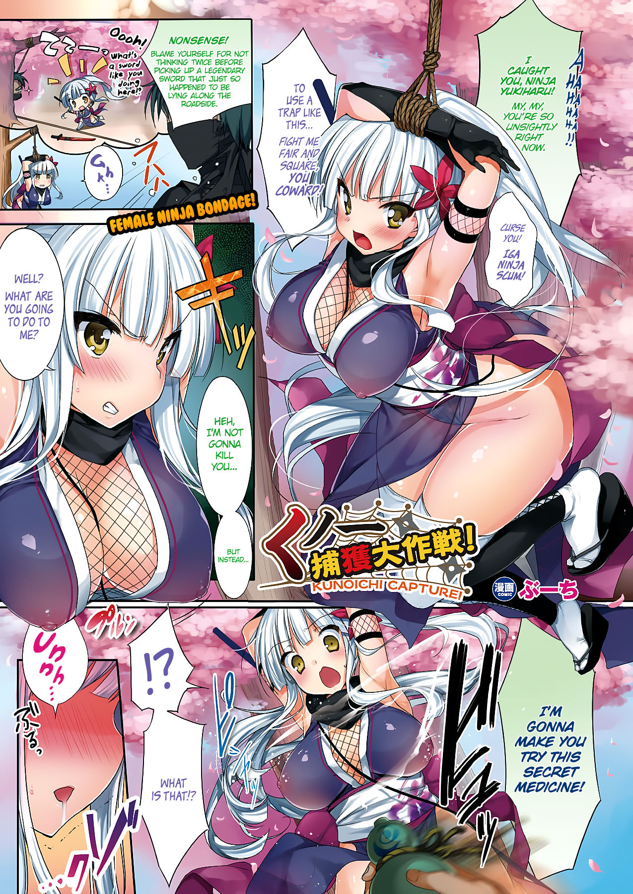 Kunoichi Capture: The Master Plan to Capture the Female Ninja! cover