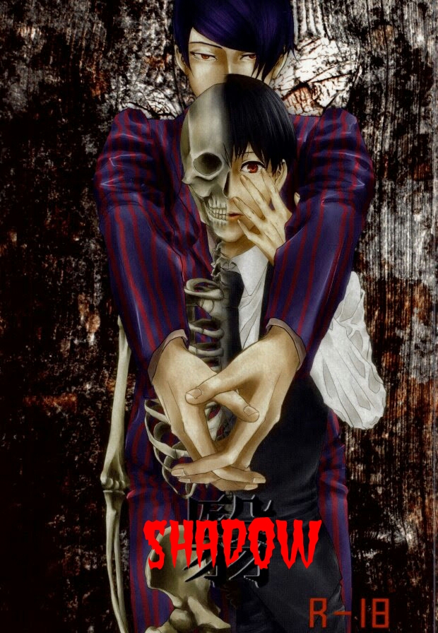 Shadow cover