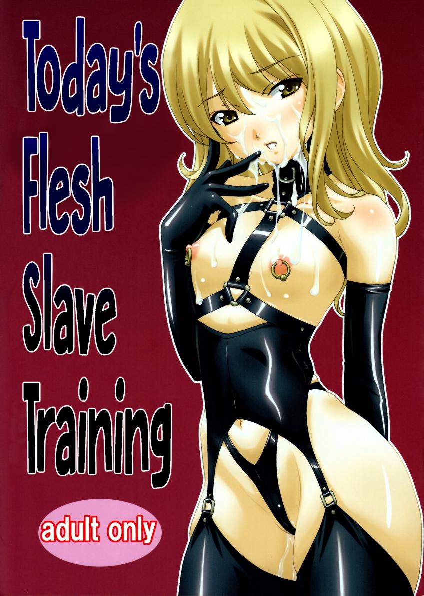 Todays flesh slave training cover