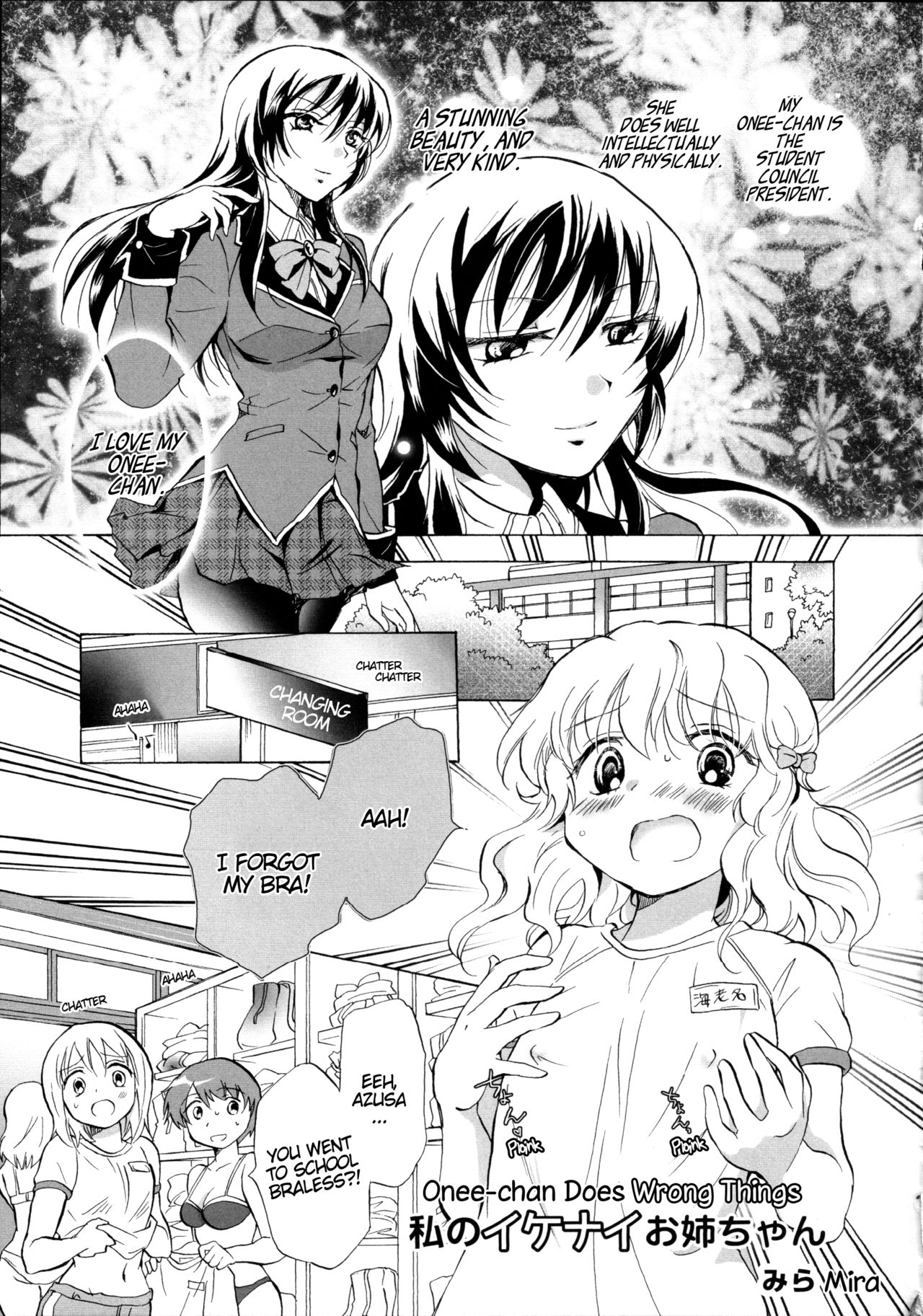 Onee-chan Does Wrong Things cover