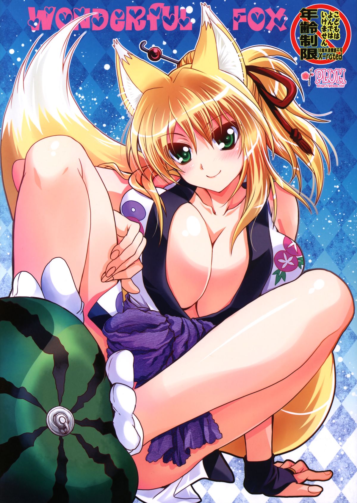 Wonderful Fox cover