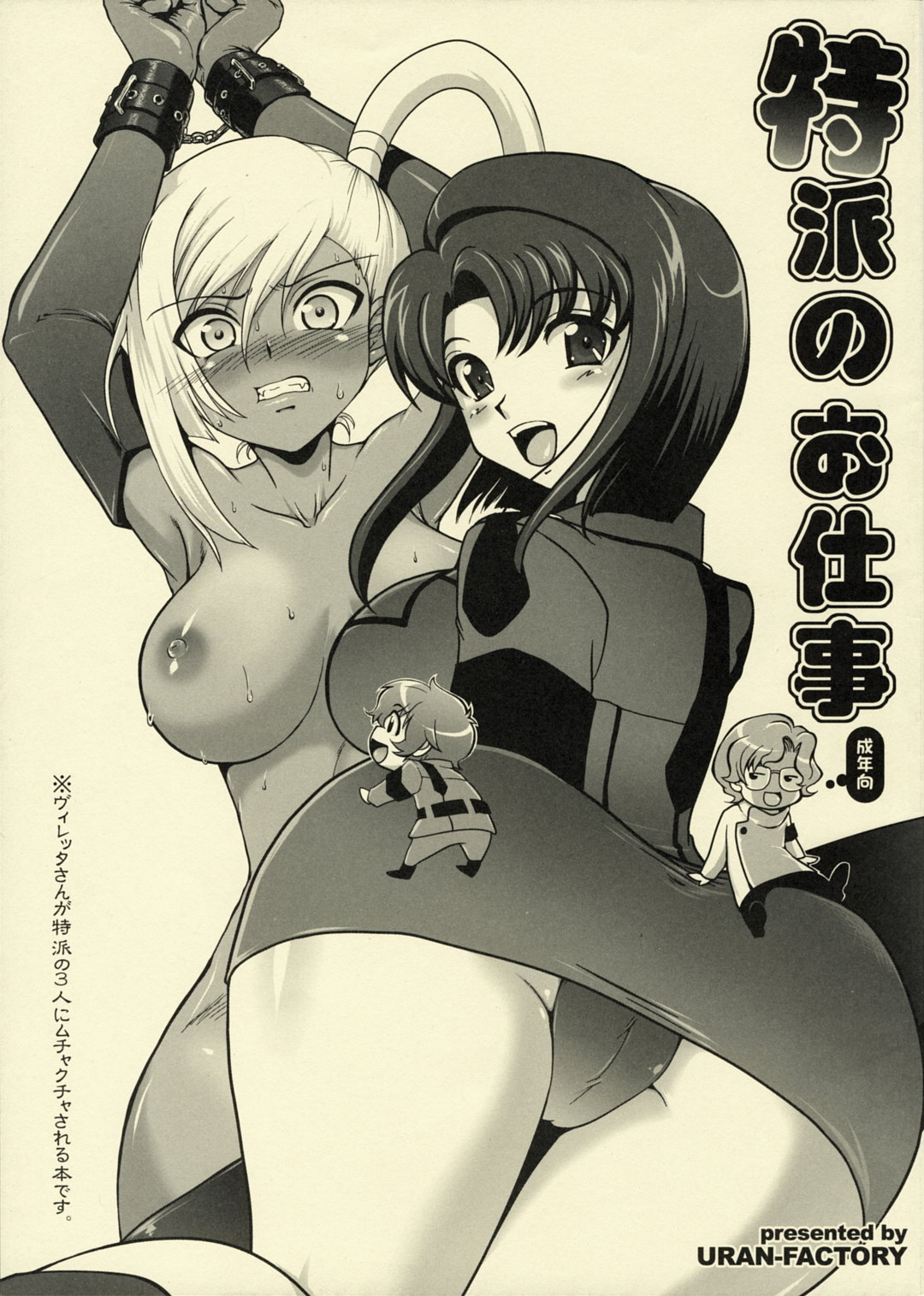 Special Envoy's Work cover