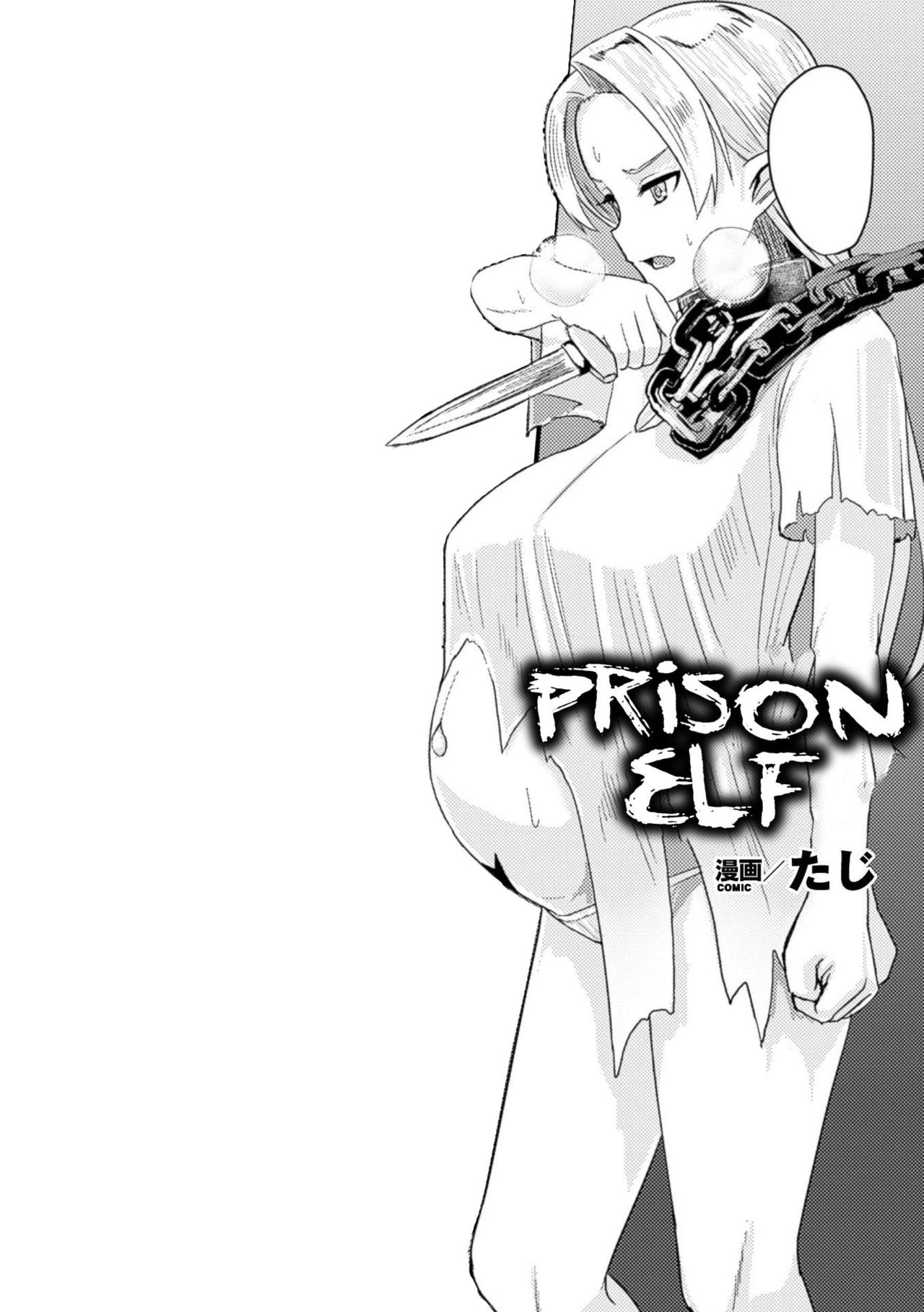 Prison Elf cover