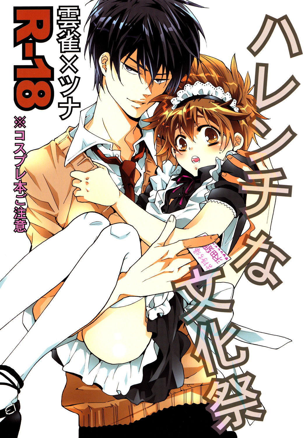 Lewd Culture Festival cover