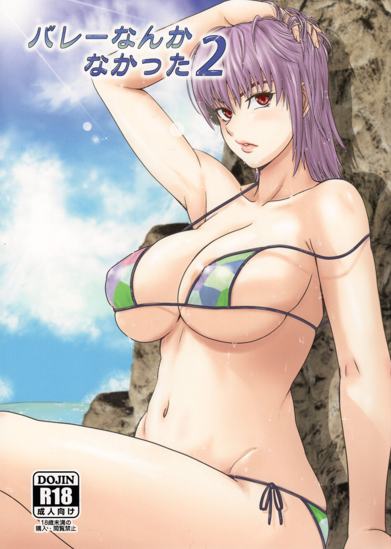 Nothing Like Volleyball 2 cover