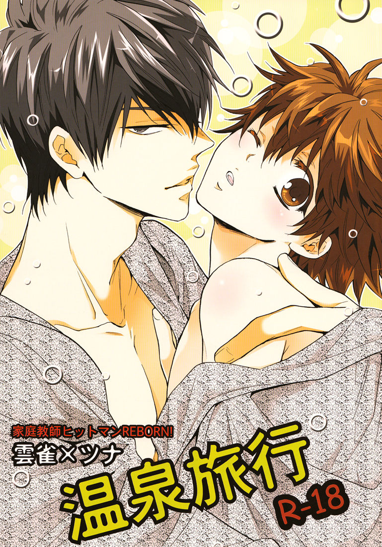 Hot Springs Trip cover