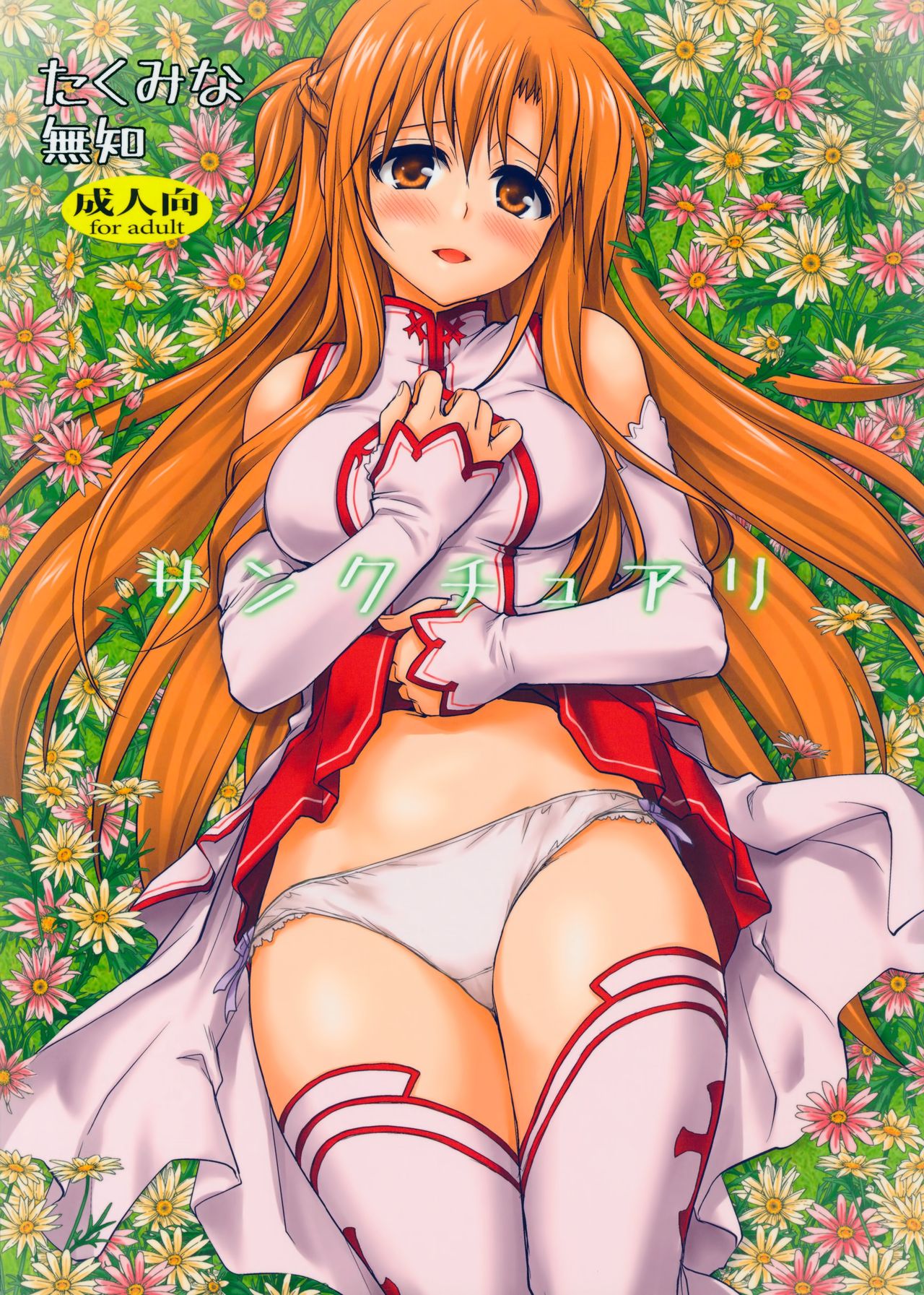 Sanctuary cover