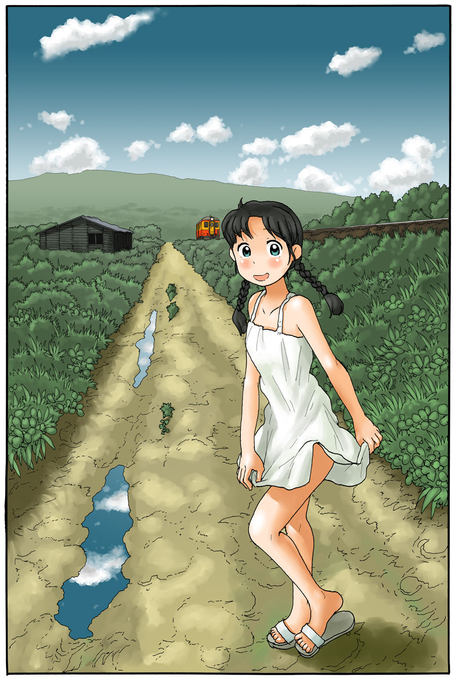 Wandering Through The Countryside cover