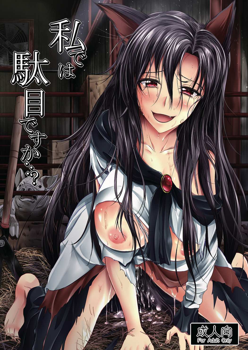Watashi de wa Dame desu ka...? cover