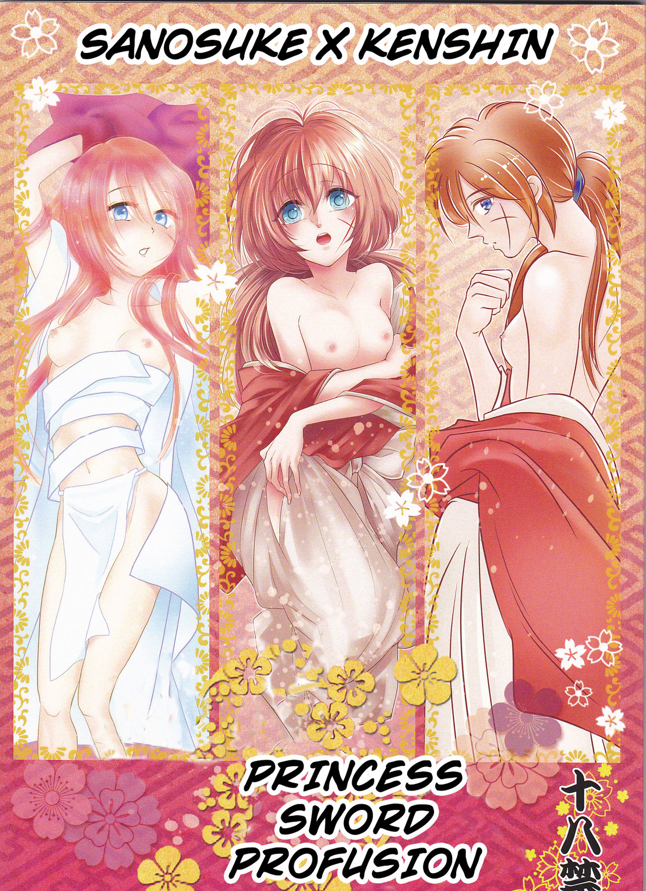 Princess Sword Profusion cover
