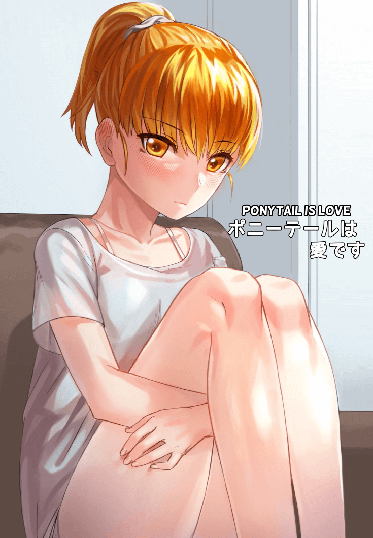 Ponytail is Love cover