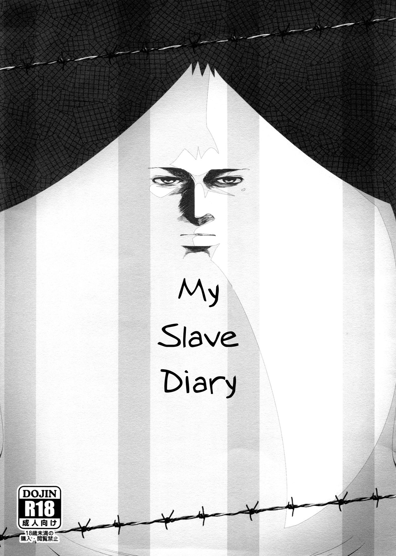 My Slave Diary cover