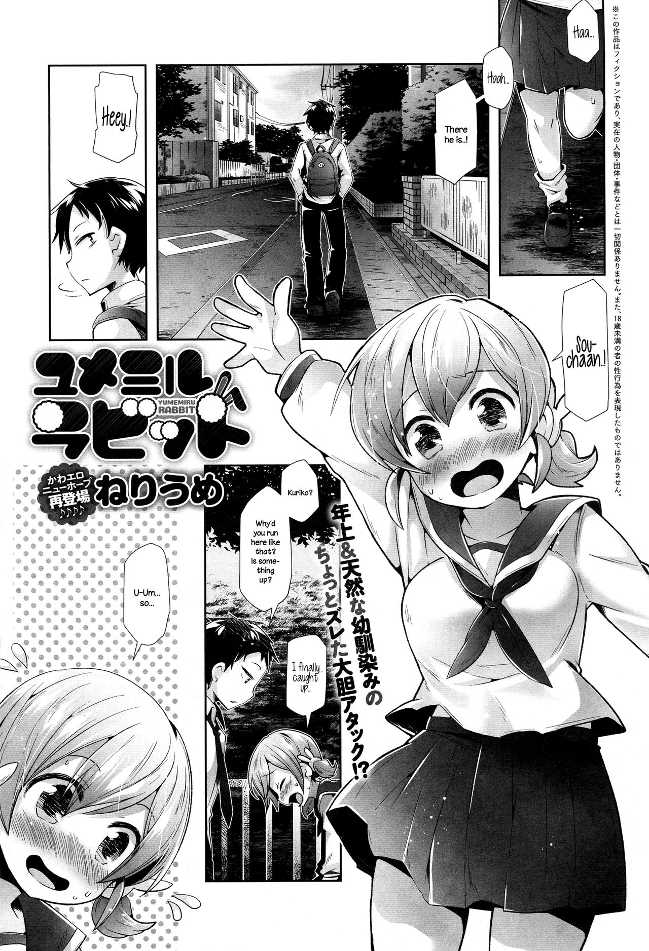 Yumemiru Rabbit cover